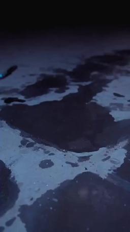 Quando ci siamo lasciati, il mondo si è fermato episode 24