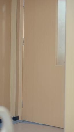 Mi exesposa es una princesa de la mafia episode 52