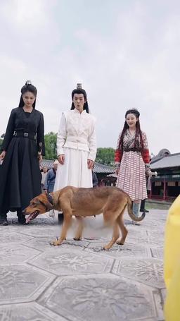 التمرد المحتوم: عودة الابن المنبوذ episode 20