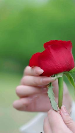 In Love With My Classmate's Mom episode 26