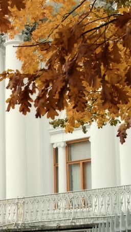 The Hacker Heiress Strikes Back episode 56