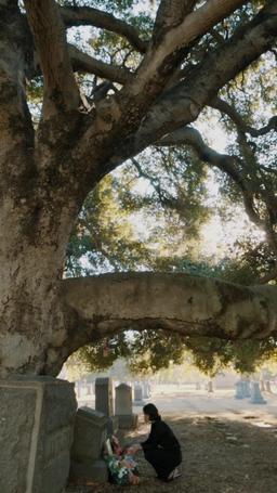 Quando l'amore arriva troppo tardi episode 18