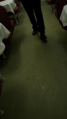 Brain vs. Bullet Train episode 37