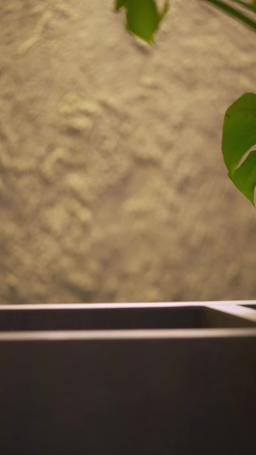 불륜 파파라치 episode 1