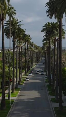 なんてこと！あなたが私の赤ちゃんのパパなの！？ episode 39