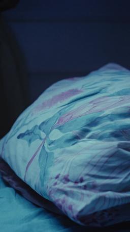 Deseada por dos: el vampiro y el cazador episode 37