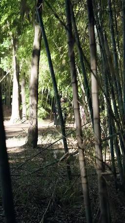 Fated Rebellion: Return of the Forsaken Son episode 37