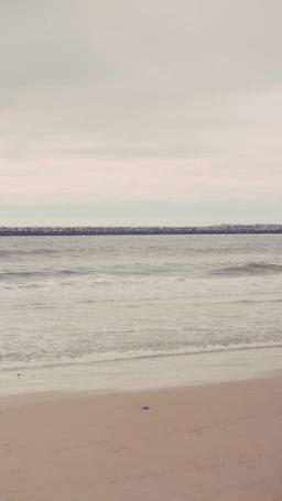 契約結婚からはじまる溺愛 episode 50