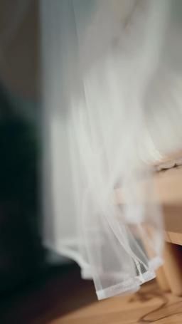 Compagnon Destiné du Renard à Neuf Queues episode 34