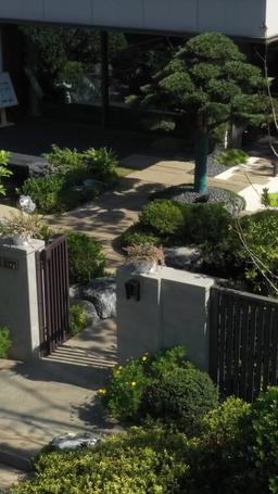 Cintanya Tak Tersembunyikan Lagi episode 20