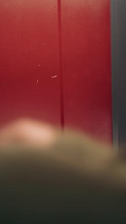 Il mio capo è il mio donatore di sperma segreto episode 39