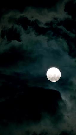 재벌 영애의 이중 생활 episode 6