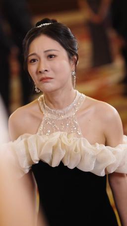 Il Mio Perfetto Genero episode 30