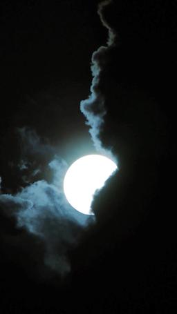 말하지 못한 사랑,  디클란의 아내 episode 55