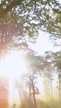 ¡Amarré a un CEO! episode 38