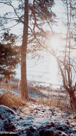 드래곤 슬레이어가 내 애인이었다 episode 34