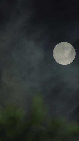 วิวาห์ฟ้าแลบกับภรรยาสุดแสบ episode 52