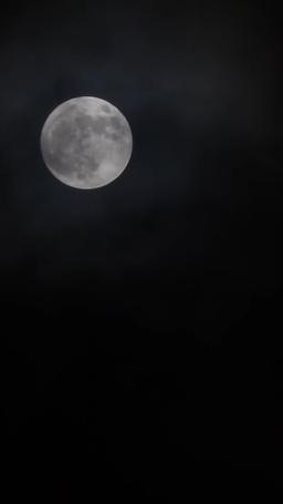 My Script to Sweetness: Healing the Villain's Heart episode 54