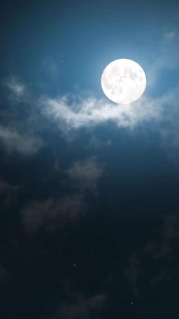 Ora tocca a lei vincere episode 14