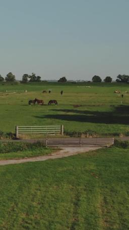 บ่วงเสน่หาหนุ่มคาวบอย episode 5