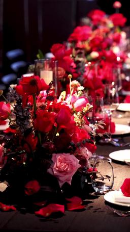 Bold and Unstoppable episode 29