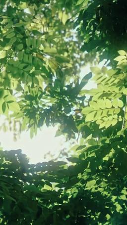 Pushover Female Lead? Not Me! episode 57