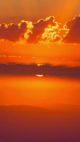 Manfaatkan Dia, Jatuh Cinta Padanya episode 35