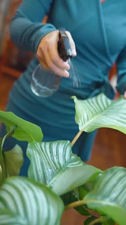 Vertragsliebe mit dem Rollstuhl-Onkel meines Verlobten episode 36