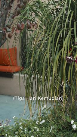 Ketika Cinta Datang Terlambat episode 41