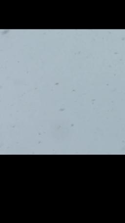 Beautiful Beast episode 24