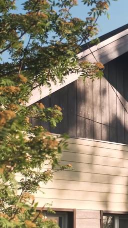 Comment Embrasser un Vampire episode 4