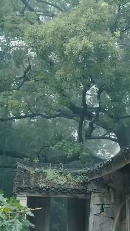 廃寺からの生還 episode 86