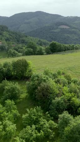 億万長者の夫と愛なき結婚、別れが去った episode 40