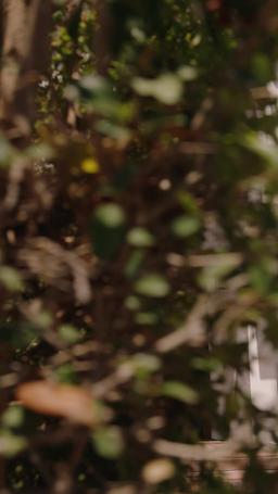 声なき者の王国 episode 59