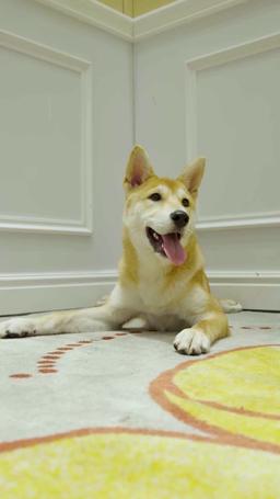 Oddio! Sono la Divinità?! episode 57