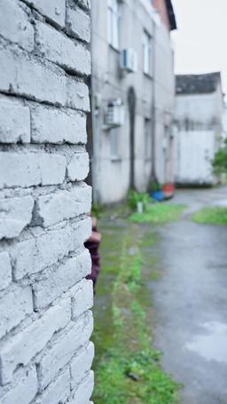 Falling for My Gold-Digger Wife episode 1