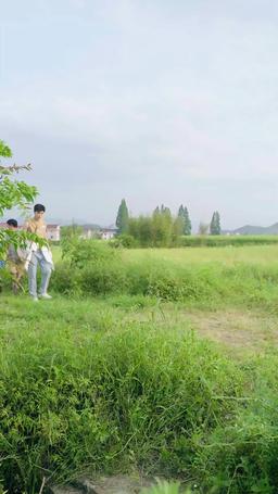 我在鄉下當首富夫人 episode 10