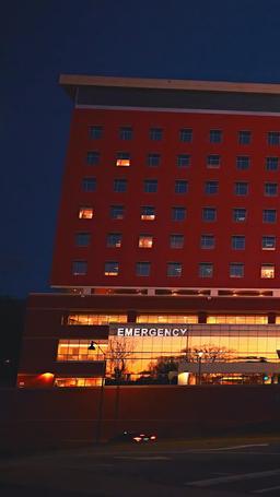 O Ano em Suas Cadeias episode 29