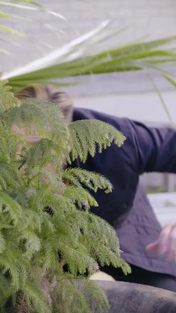 Audrey in voller Blüte episode 56