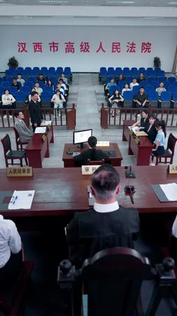 Rogue Lawyer episode 10