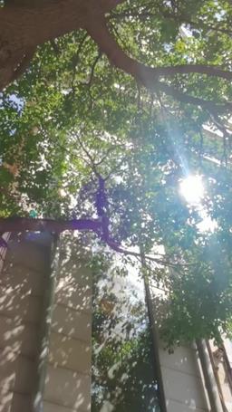 Simmering Love episode 3