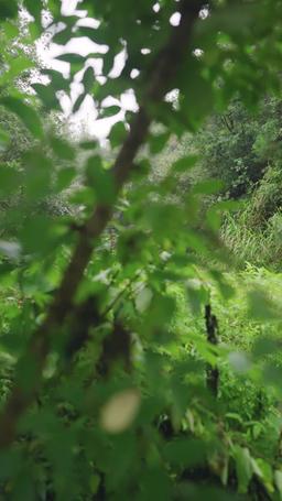 [Dublajlı] Kuzey Barbarlarının Sonu: Gücüm ve Gelinlerim episode 32