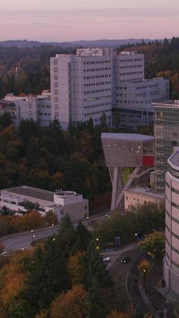 Mi Exmarido Por Contrato Sigue Persiguiéndome episode 14