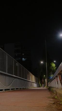 In This Life, I'm Trying To Save The Boss episode 54