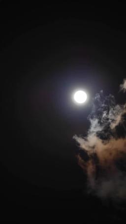 田舎娘 社長の花嫁になる episode 65