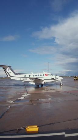 오드리 역경 속에서 꽃을 피우다 trailer