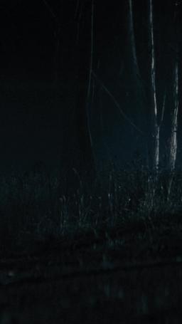 Falling For Her Bodyguard episode 1