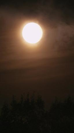 만치니의 금지된 신부 episode 18