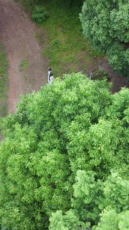 我家娘子是高手？ episode 18