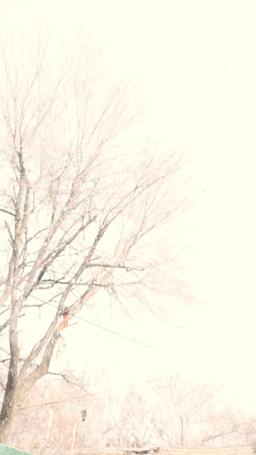 Elveda, Geçmişim episode 5